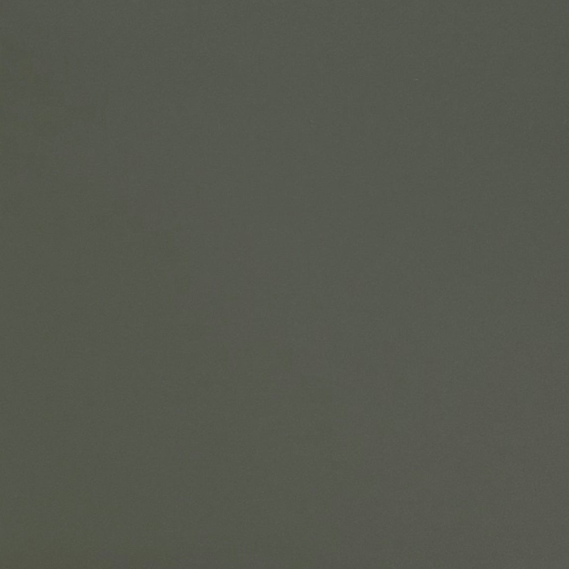 Matte Green Colour Swatch