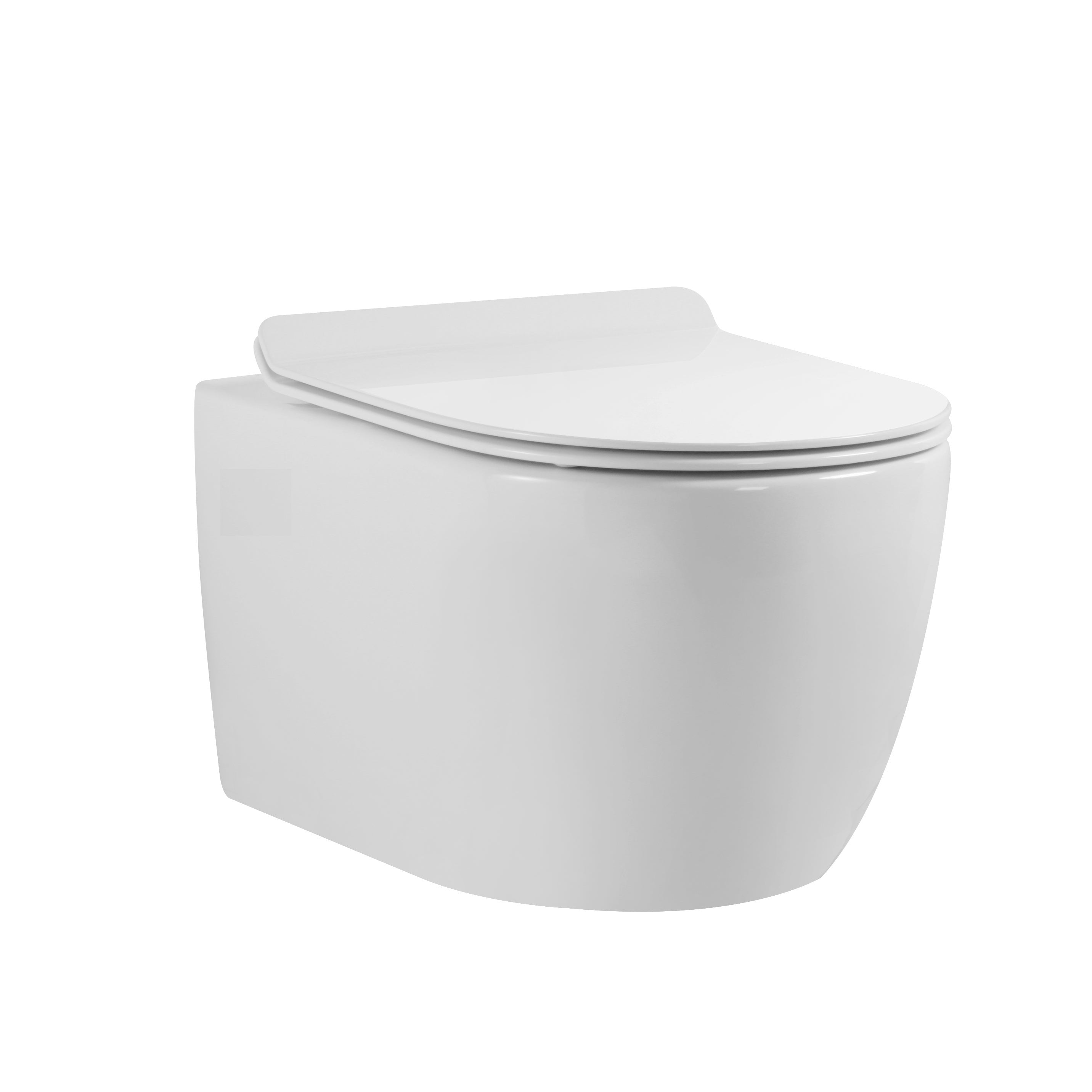 Wall-Hung Toilet With In-Wall Carrier