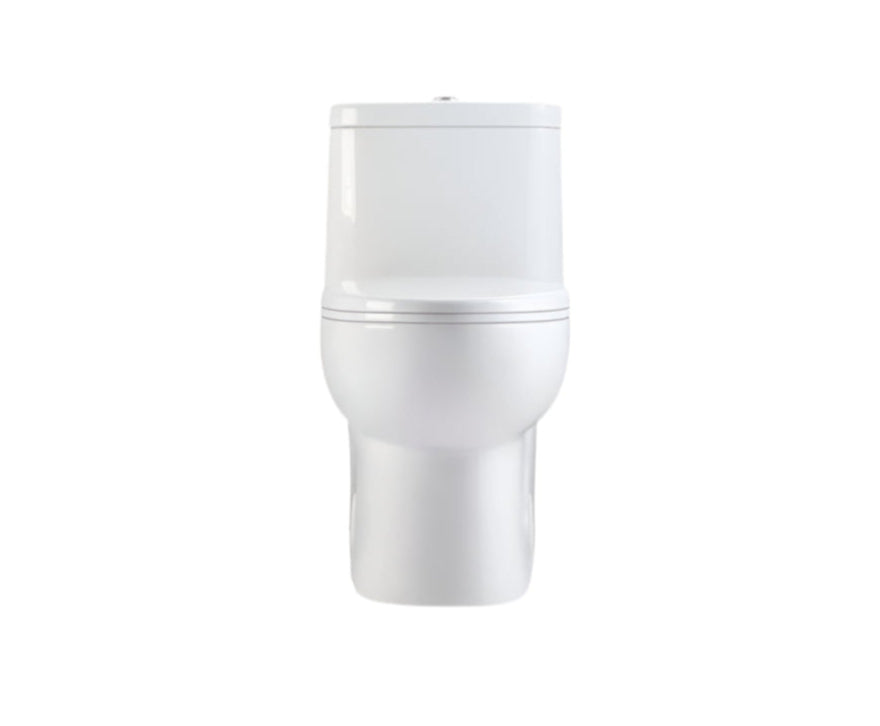 One-Piece Dual Flush Toilet