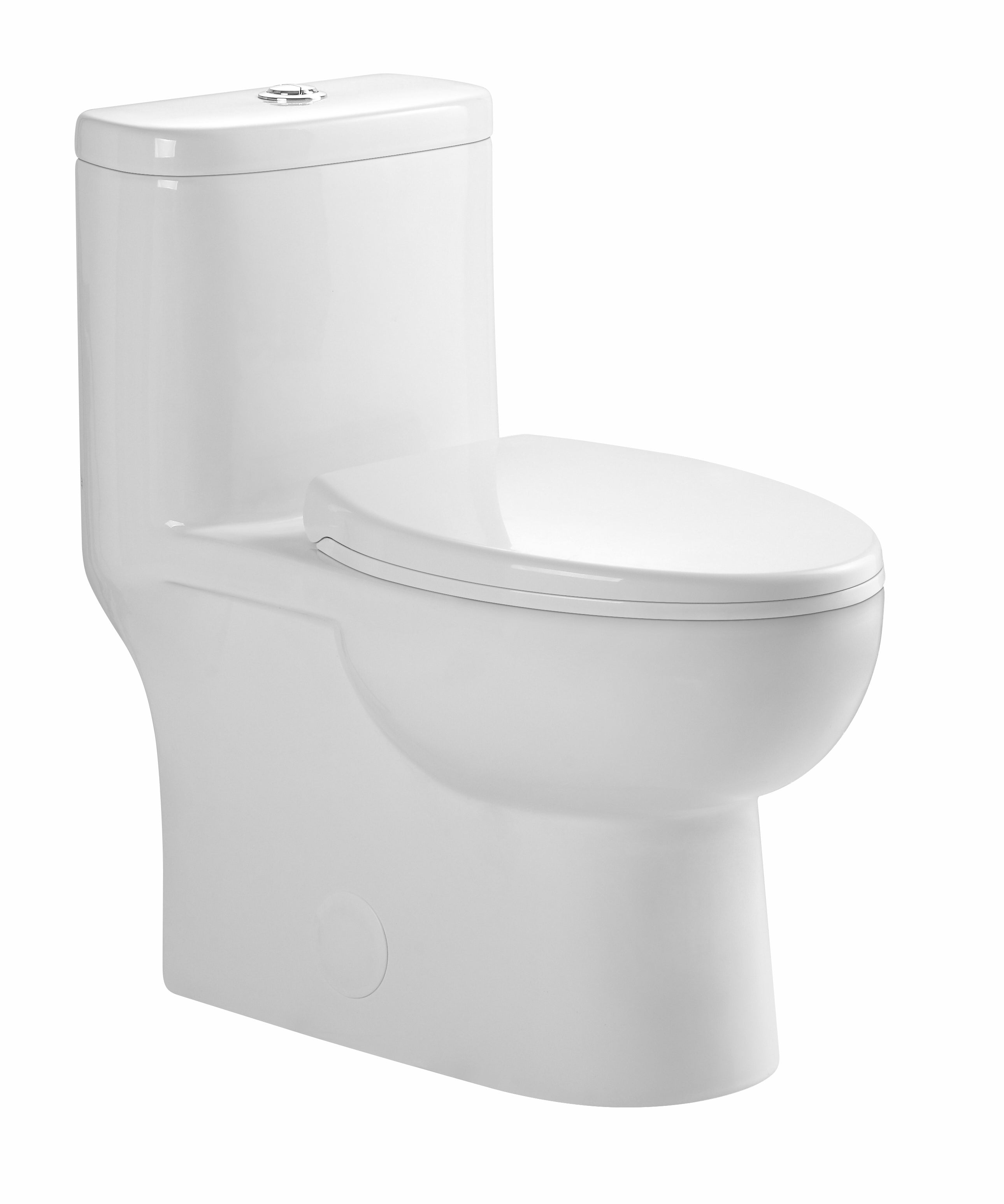 One-Piece Dual Flush Toilet