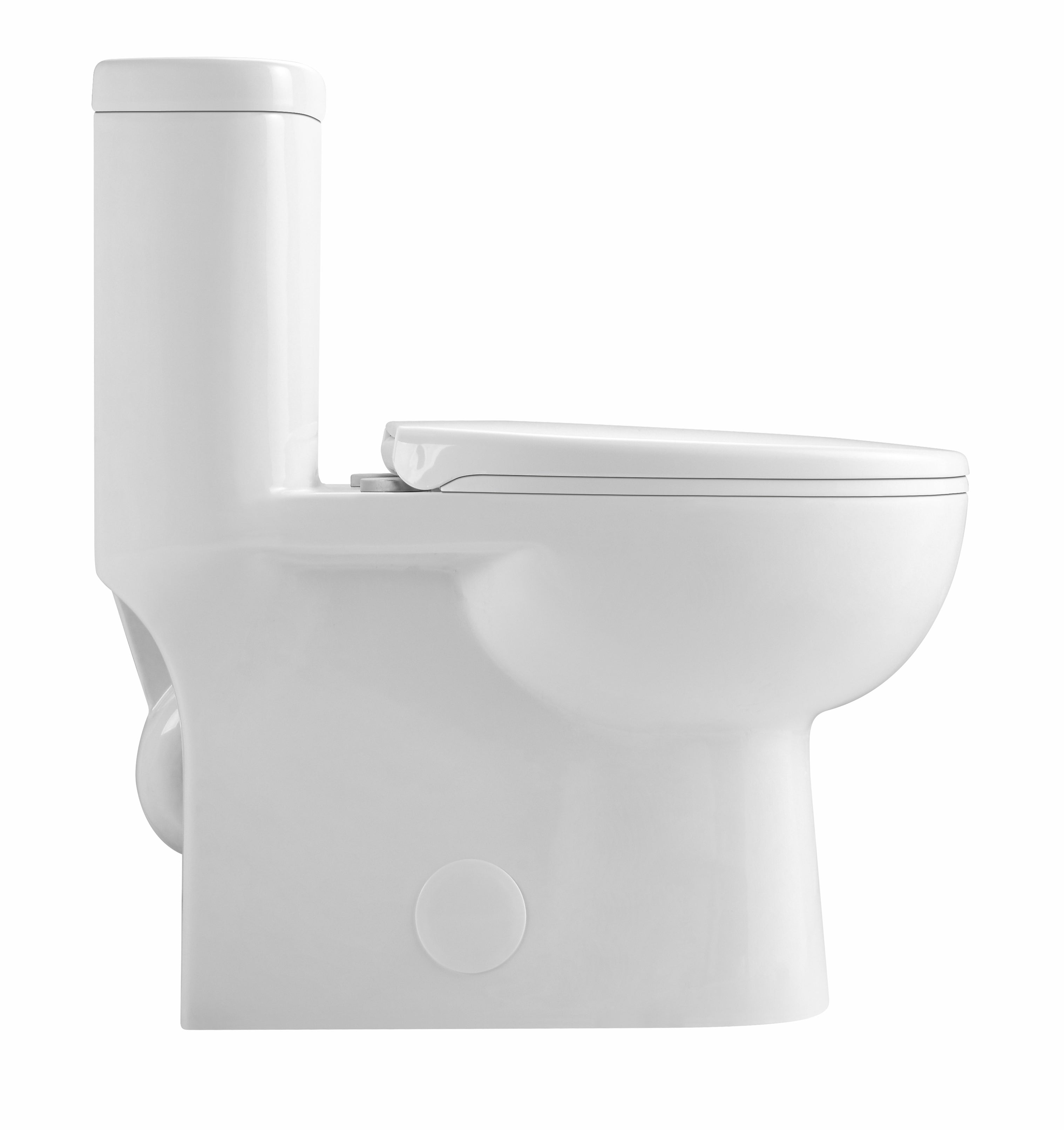 One-Piece Dual Flush Toilet