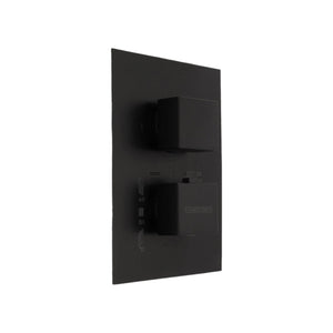 2/3 Function Thermostatic Square Mixer Matte Black