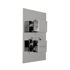 2/3 Function Thermostatic Square Mixer Chrome